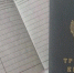 За год число обладателей электронных трудовых книжек в регионе выросло на 43 000 человек - Сетевое издание Ровеньская нива