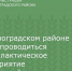 В Зерноградском районе будет проводиться профилактическое мероприятие «Нетрезвый водитель» - Зерноградский район