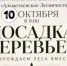 Альметьевцев приглашают принять участие в восстановлении леса - Альметьевский район