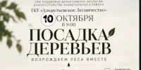 Альметьевцев приглашают принять участие в восстановлении леса - Альметьевский район