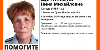Фото: поисковый отряд «ЛизаАлерт» в соцсети «ВКонтакте» - InformPskov.Ru