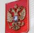 Во Владимире 26-летний полицейский насмерть сбил пешехода - Владимирские Ведомости