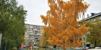 В Бийске продолжается запуск отопления - Сетевое издание Толк