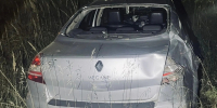 Медведь спровоцировал аварию с тяжелыми последствиями на трассе под Советском - ProGorod.Ru
