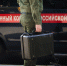 В Московской области возбуждено уголовное дело по факту посягательства на жизнь сотрудников правоохранительных органов и незаконного хранения оружия - Следственный комитет