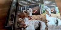 Вышел в свет учебник для вузов «ЗООГИГИЕНИЧЕСКИЕ ОСНОВЫ БИОЛОГИЧЕСКОЙ БЕЗОПАСНОСТИ В СОВРЕМЕННОМ ЖИВОТНОВОДСТВЕ» - Государственный аграрный университет