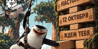 В ЮУГМУ пройдёт вечер настольных игр «Сердце Мадагаскара» - ЮУГМУ