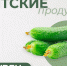 Вятские продукты: огурец – свежесть и польза с кировских грядок - Министерство здравоохранения