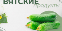 Вятские продукты: огурец – свежесть и польза с кировских грядок - Министерство здравоохранения