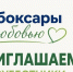 В Чебоксарах пройдут массовые акции по уборке города - Администрация Калининского района