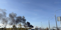 Пожар в районе Шушар тушат больше месяца: фото - Spbdnevnik.ru