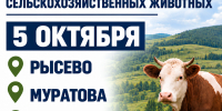 Важная информация для владельцев сельскохозяйственных животных. - Администрация Черемховского района