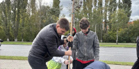 Проект «Молодёжная зелёная дружина» - Комитет по физкультуре и спорту