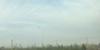 Выезд вслепую: в Благовещенске заросли травы перекрыли обзор на оживленный перекресток - Amur.Life