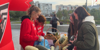 «Омские крылья» собрали более 200 килограммов кабачков для зоопарка - 12 канал