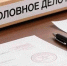 Белгородка пойдёт под суд за трудоустройство фиктивных сотрудников - БелПресса