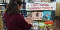 Книжная выставка «И звери, и птицы на книжных страницах» - Киржачская ЦБС
