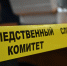 Ульяновские следователи завели уголовное дело об убийстве сыном матери и отчима - Комсомольская правда