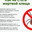 Более 1,4 тыс. жителей Волгоградской области обратились в больницы после укусов клещей - Volganet.Net