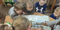 Животные красной книги - ЦСДБ г. Челябинска
