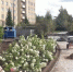 В Петергофе завершают благоустройство на улице Юты Бондаровской - Spbdnevnik.ru