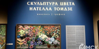 "Скульптуры цвета". Учимся погружаться в сюжеты на новой выставке в Омске - ИА Омск здесь