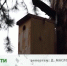 Видео - ТВН