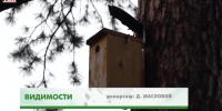 Видео - ТВН