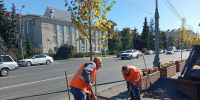 В центре Курска высаживают липы - Sekunda.Media