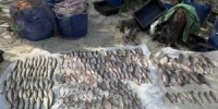 Браконьер выловил рыбы из Цимлянского водохранилища на 230 тысяч рублей - DonDay-Volgodonsk.Ru