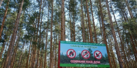 Нижегородские лесничие не допустили ни одного пожара на территории городских лесов - Администрация г. Нижний Новгород
