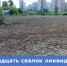 Одиннадцать свалок ликвидировано на неразграниченных землях Екатеринбурга с начала 2026 года - Министерство по управлению госимуществом