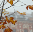 Фото: ПАИ - InformPskov.Ru