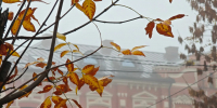 Фото: ПАИ - InformPskov.Ru