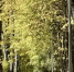 Картинка - Regions.Ru