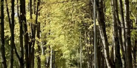 Картинка - Regions.Ru
