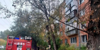 В Челябинске с карниза 4 этажа сняли 12-летнего мальчика - Агентство новостей Доступ