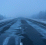 На М5 введены ограничения из-за снега и метелей - 31TV.RU