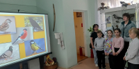 Беседа о птицах - Краеведческий музей