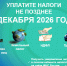 Срок уплаты налогов – не позднее 1 декабря 2026 года. - Афанасьевский муниципальный округ