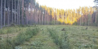 Картинка - Regions.Ru