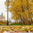 Картинка - Regions.Ru