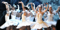 Фото: salajean/Shutterstock/Fotodom - Ямал-Медиа