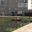 Пруд на Московской: городские службы очищают от мусора водоем и береговую линию - Муром24.РФ
