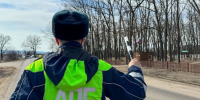 35 водителей не пропустили пешеходов в Белгородской области за сутки - Сетевое издание Победа 31