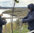 В Кирове укрепляют берег Вятки: на набережной Грина высаживают деревья - ГТРК Вятка
