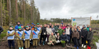 В Орлинском лесничестве высадили 2000 саженцев сосны - Гатчинская служба новостей