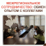 02.10.2026 МФЦ Новгородской области обменялся опытом с коллегами из Ленинградской области 1.jpg - МФЦ