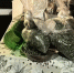 background - Cher-Poisk.Ru
