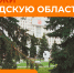 Вологодским волонтерам не хватает голосов для победы - Gorodvo.Ru